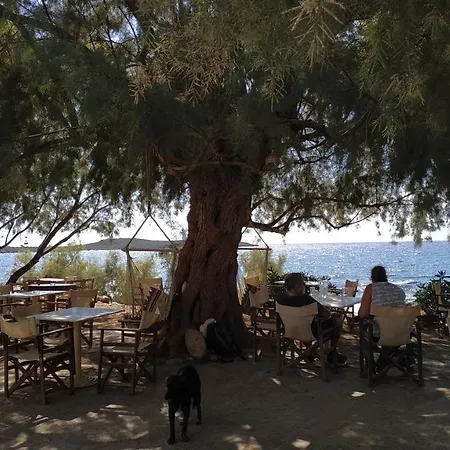 فندق Georgoshouse Lykos Sfakia *
