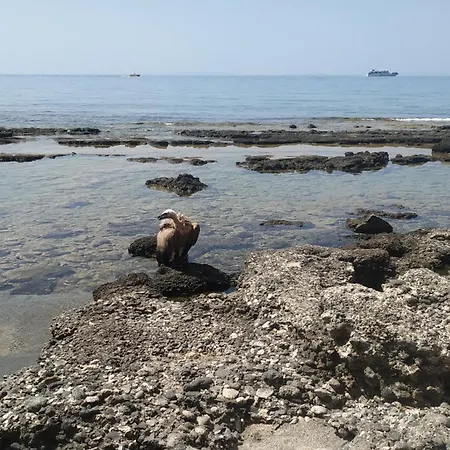 Georgoshouse Lykos Sfakia Livaniana