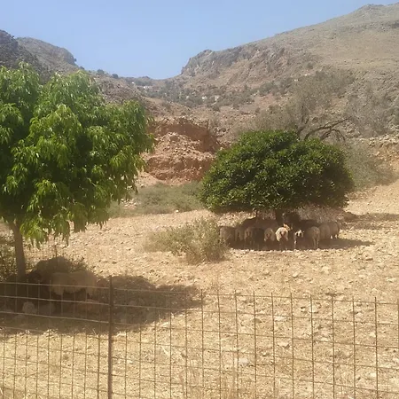 Georgoshouse Lykos Sfakia فندق *