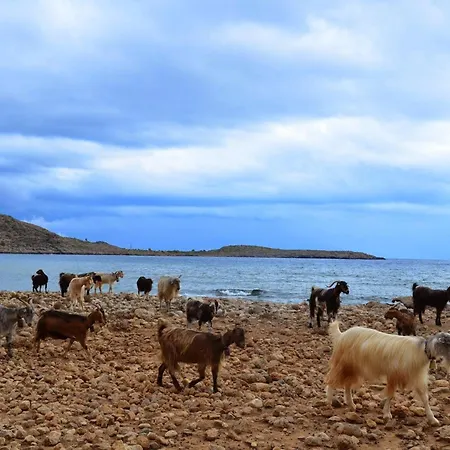 فندق Georgoshouse Lykos Sfakia *