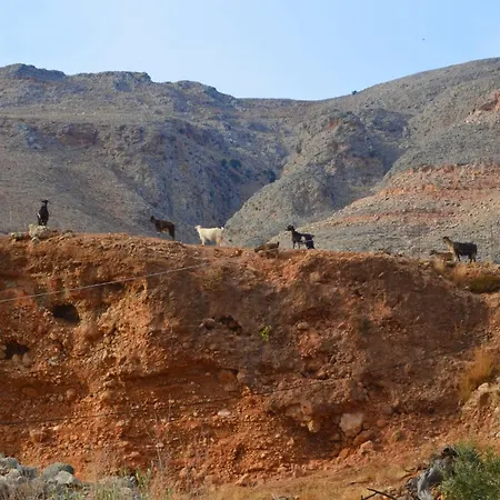 Georgoshouse Lykos Sfakia فندق *