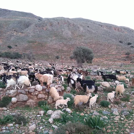 فندق Georgoshouse Lykos Sfakia