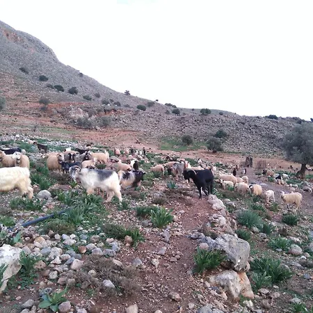 Georgoshouse Lykos Sfakia Livaniana