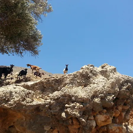 Georgoshouse Lykos Sfakia *