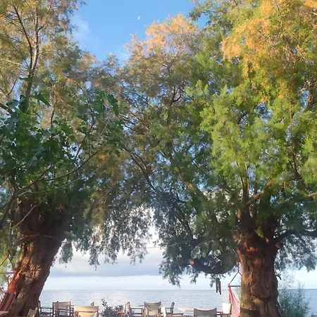 Georgoshouse Lykos Sfakia Hotell Livaniana