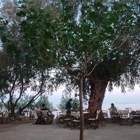 Georgoshouse Lykos Sfakia Hotell